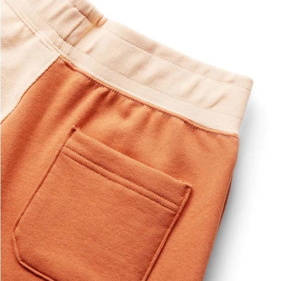 Air Jordan Flight Fleece Color Block Shorts-NWT - Picture 4 of 4